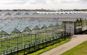 How to Feed 9.8 Billion Sustainably